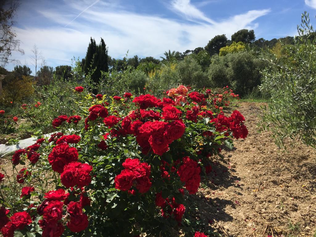 Le Clos de la Chèvre Sud La Cadiere-d'Azur Extérieur photo